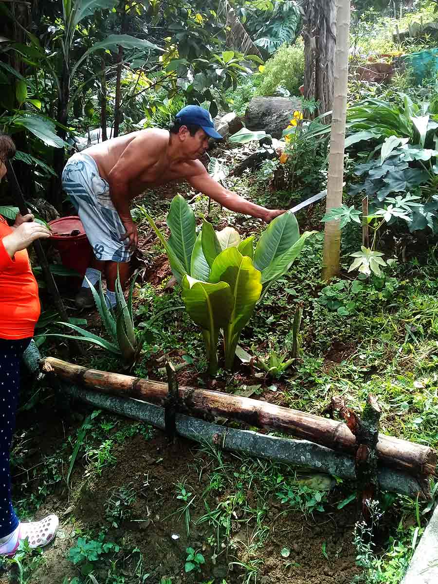 ecobarrios-cali-ecobarrio-aguacatal-2022