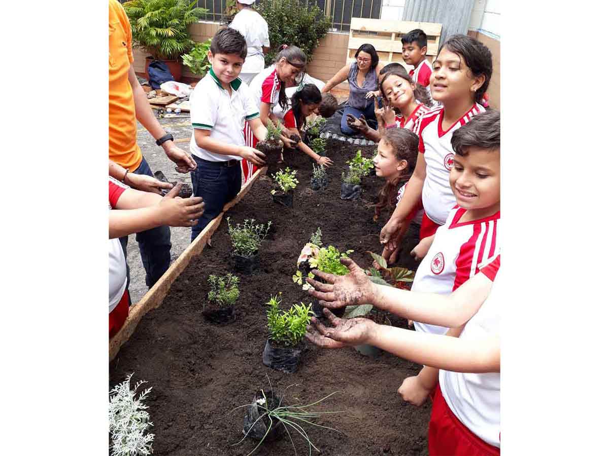 Inicio de la transformación de la escuela pública del barrio