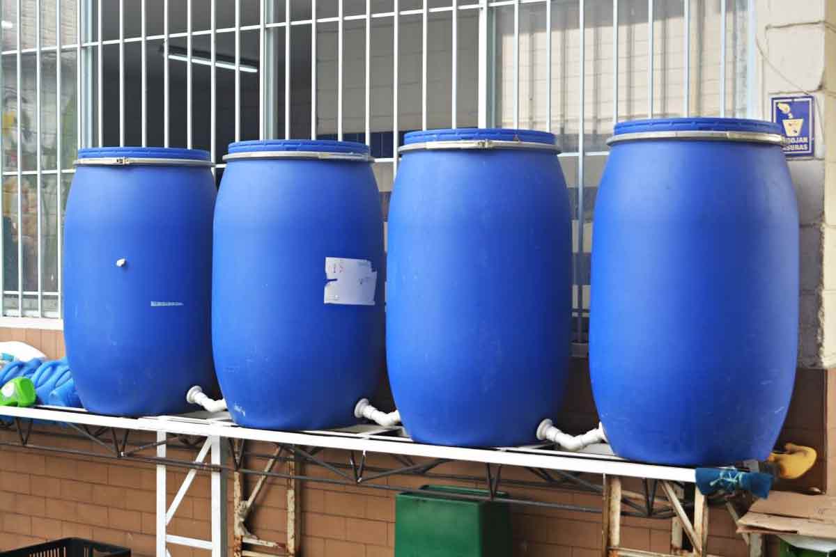 ECO Escuela Sardi