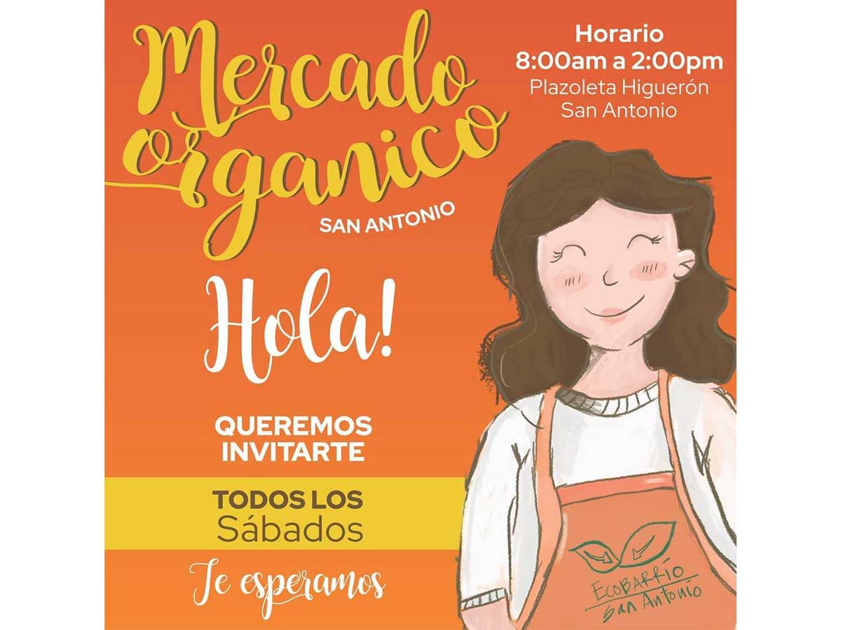 ecobarrios-cali-san-antonio-huertos-urbanos-9